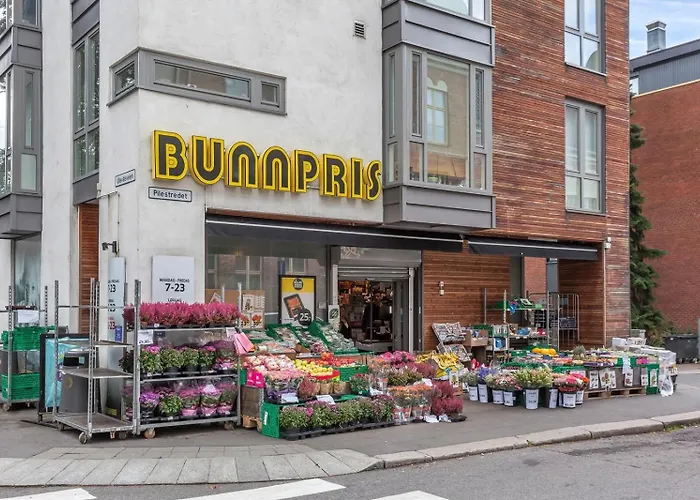 Lägenhet Modern In A Luxurious Area - Super - 6 Pax Oslo